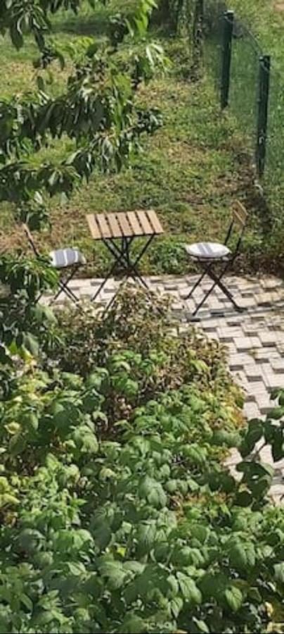 Saeul Lovely Appartment With Private Patio And Private Entrance In Luxembourg 60M2 מראה חיצוני תמונה